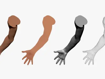 001294 hand of woman all fingers are opened low poly Low-poly 3D model