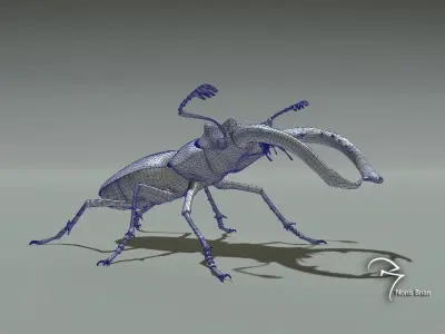Stag beetle 3D model
