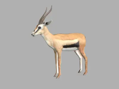 Gazelle with long horns Low-poly 3D model