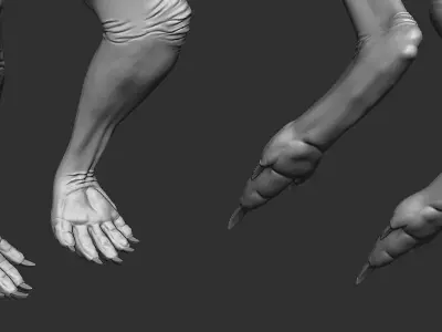 Kangaroo Female Topology UV Map Free 3D model