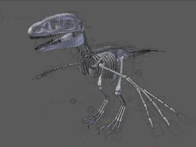 Carnivore Dinosaur Skeleton Low-poly 3D model