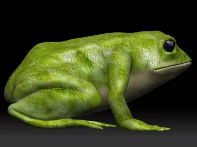 Green frog Low-poly 3D model