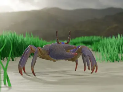 Ghost crab 3D model