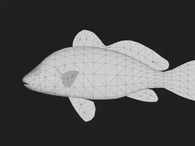 Darter Low-poly 3D model purchase