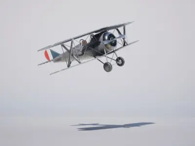 Military Biplane Low-poly 3D model