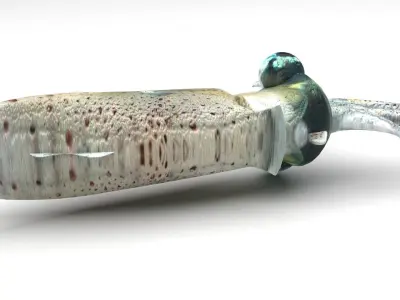 Squid 3D model purchase