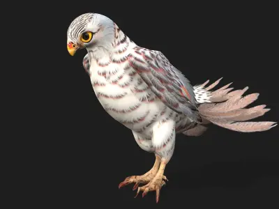 Kestrel B5 3D model