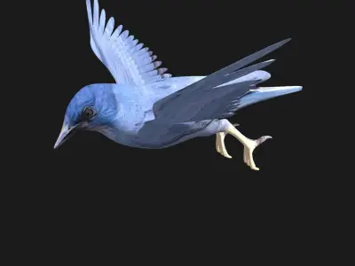 blue bird animated 3D model