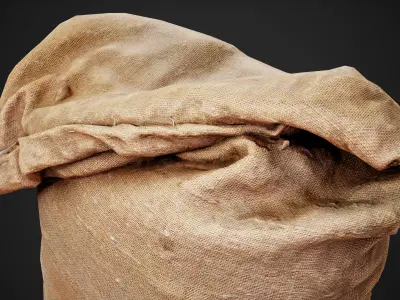 Old burlap bag photo scan Free low-poly 3D model