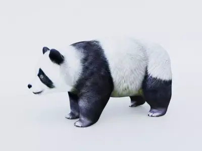 Panda Free 3D model buy