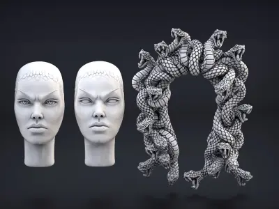 High Detailed Medusa Head 3D print model
