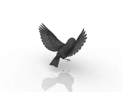 beautiful bird 3D model