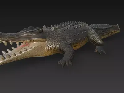 Crocodile 3D Model - Basic 3D model
