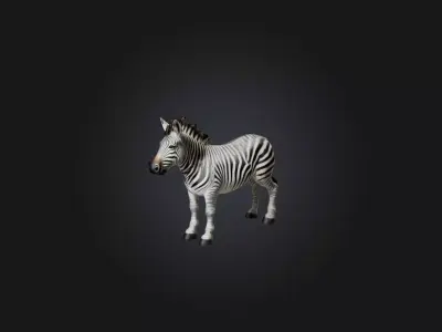 Realistic Zebra Model Low-poly 3D model purchase