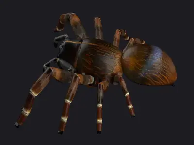 spider walking creepy tarantula attack idle game horror 3D model