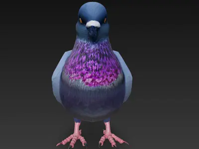 Pigeon 3D Model Basic - Low Poly Simple Low-poly 3D model