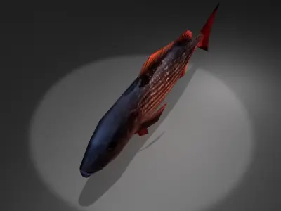 Red Snapper Low-poly 3D model