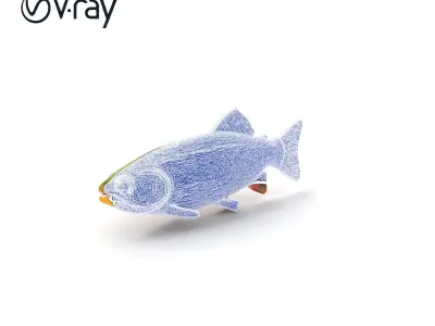 Lahontan Cutthroat Trout Lifelike Model Pack Low-poly 3D model