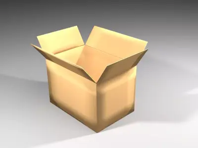 Cardboard Box - Rectangular Medium 3D model
