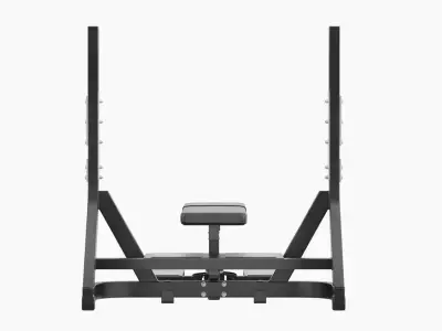 Technogym Olympic Flat Bench Pure 3D model