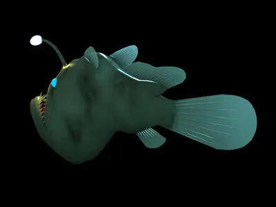 Angler Fish 3D model buy
