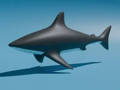 shark Low-poly 3D Model Low-poly 3D model
