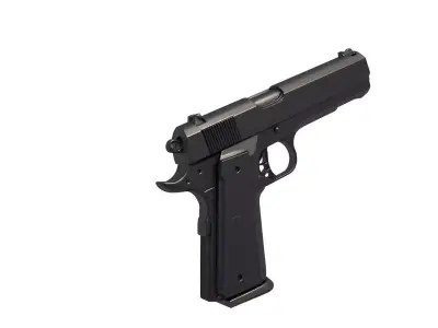Para-Ordnance 3D print model