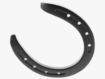 Horseshoe 2 3D model