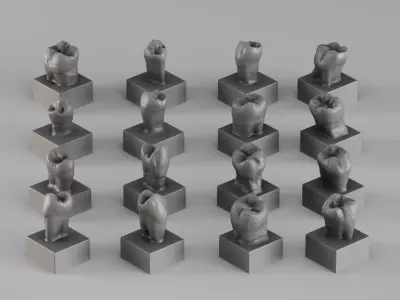 001690 Premium Dental Tooth Collection STL 3D Scan 3D print model