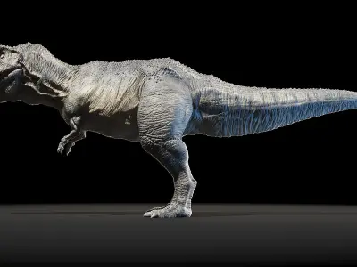 Dinopack Medium Static 3D model