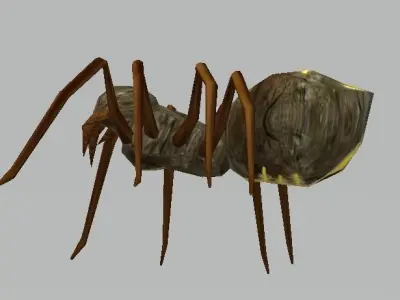 Spider Low-poly 3D model order