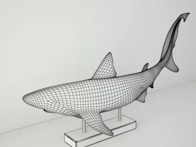 Relief of a Swimming Shark 3D model