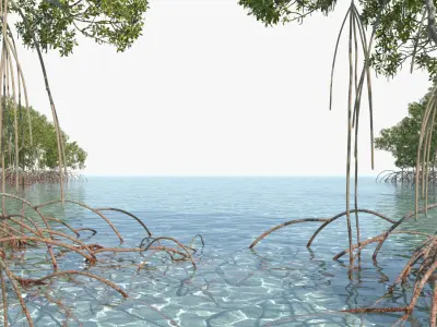 Mangroves 2.0 Animated 3D model
