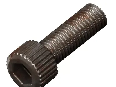 Rusty Steel Socket Bolt 3D model