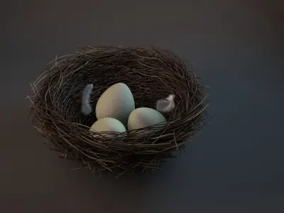 Bird nest 3D model get