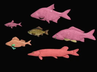 River fish collection Low-poly 3D model