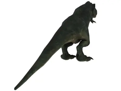 Tyrannosaurus rex Low-poly 3D model 16