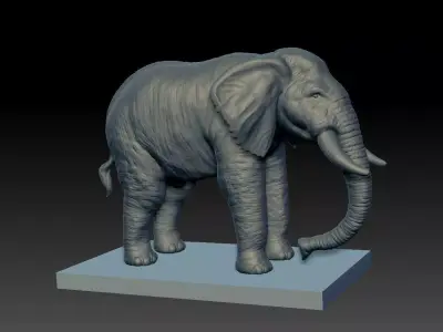 Realistic Elephant 3D model on platform 3D model