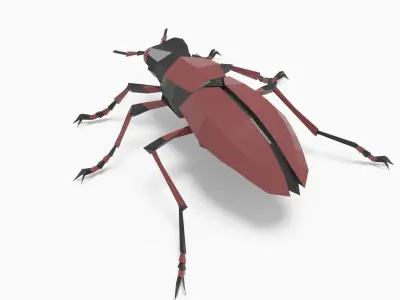 Bug low poly beetle Low-poly 3D model purchase