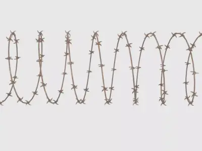Barbed Wire   3D model