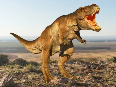 Animated Tyrannosaurus Rex Roaring Rigged for Cinema 4D 3D model