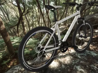 Sport Mountain Bike Hardtail Vittoria Barzo Tires Gray 3D model