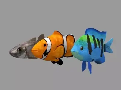FishRig All Low-poly 3D model