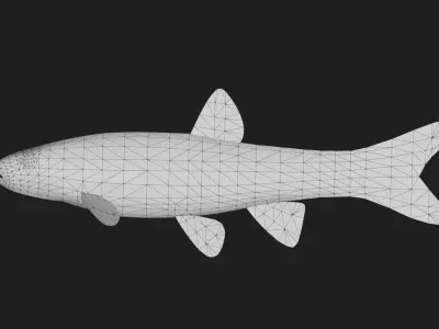 Carp fish Low-poly 3D model