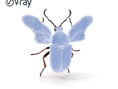 Orange Beetle D Model Pack Low-poly 3D model
