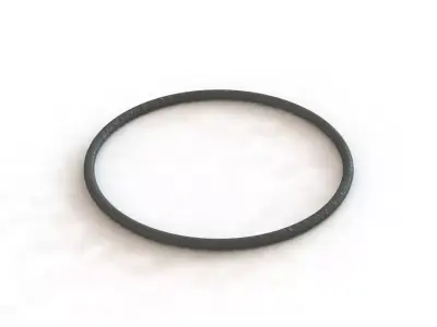 O Ring Vedabras 12034 3D model