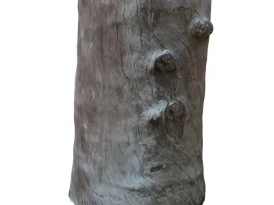 tree truck 16 3D model