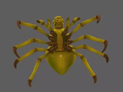 Spider 3D model 7