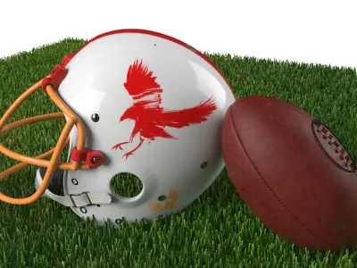 Retro Team Red Eagles Helmet with Logo and Football White On Grass Fur 3D model