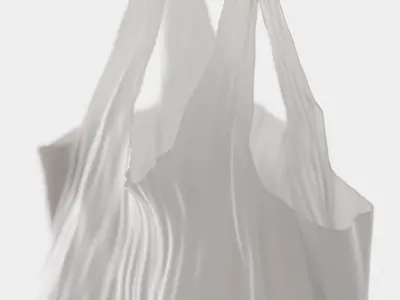 Plastic Bag 3D model